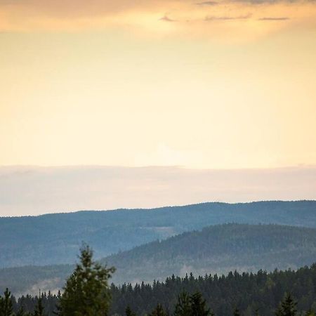 Langroesta; Ruime Blokhut Grenzend Aan Bos Villa Hagfors Kültér fotó