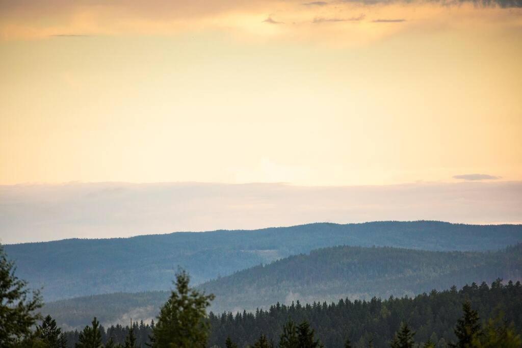 Langroesta; Ruime Blokhut Grenzend Aan Bos Villa Hagfors Kültér fotó